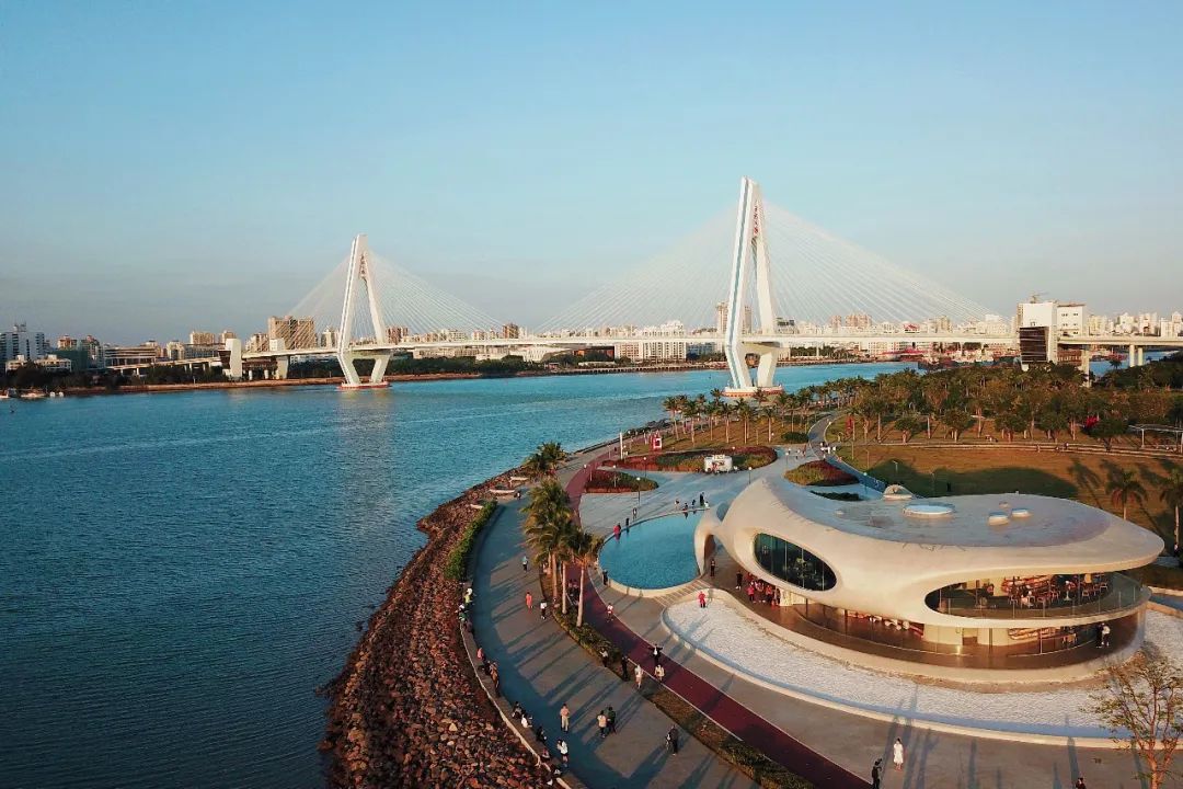 1年有150天住酒店,44次旅行,47次飞行!这江南女子怎么做到的?