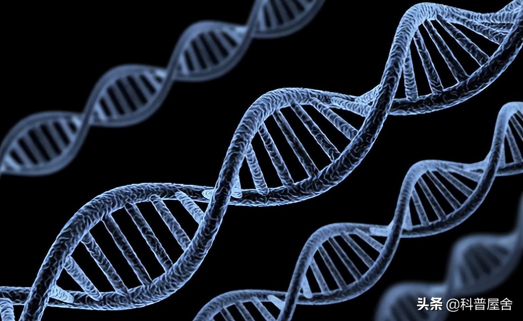 证明神存在的例子,证明神存在的理论