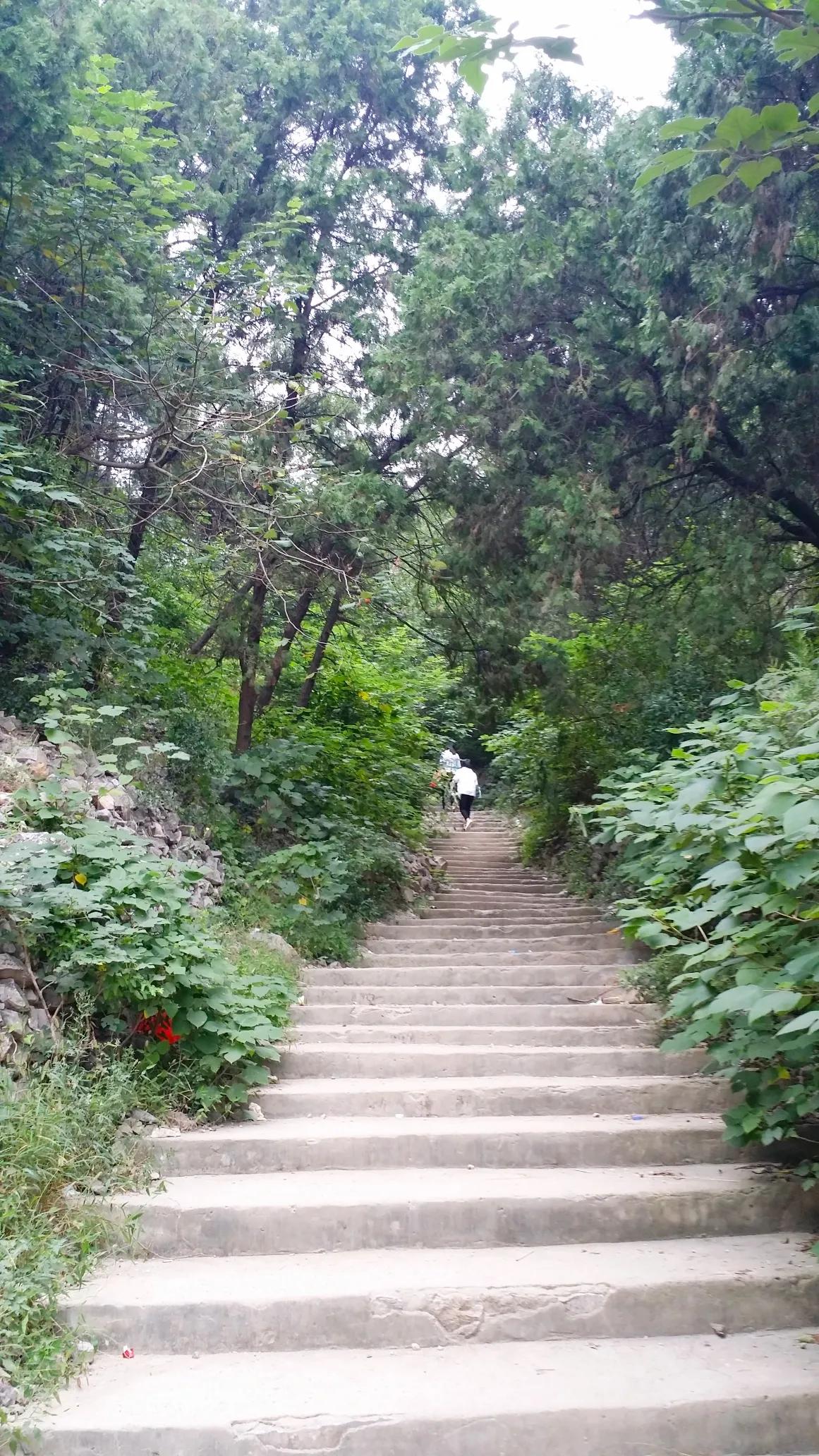 萧县周边一日游攻略,萧县周边旅游景点推荐一日游
