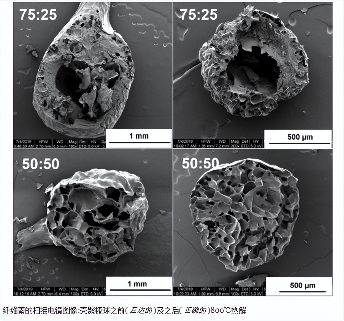 壳聚糖复合物的功效,壳聚糖复合物功效