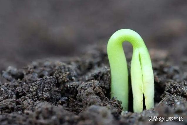 十天干中的甲对应数字是,甲与十天干的关系
