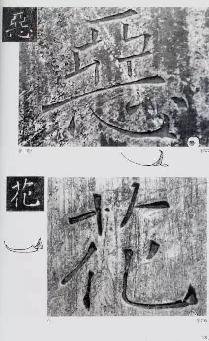 宸ョ瑪鐢绘潹鏅箟鐢诲唽,鏉滈箖鏉ㄦ櫘涔夊畬鏁寸増