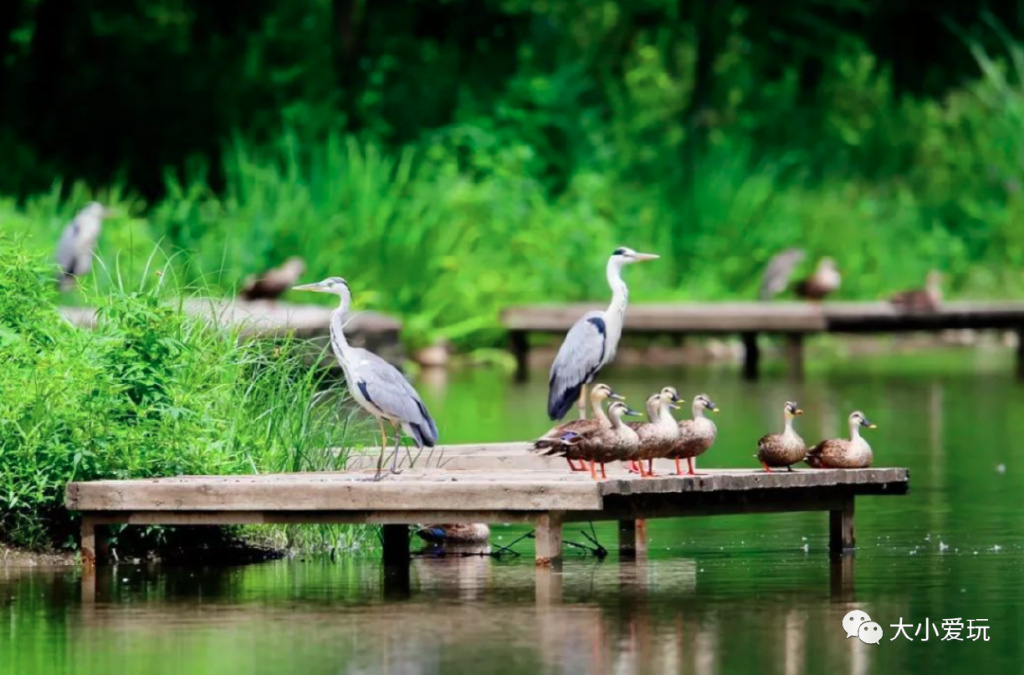 周末来袭快看看可以游玩的好去处 (游玩攻略这些地方你一定要看一看)