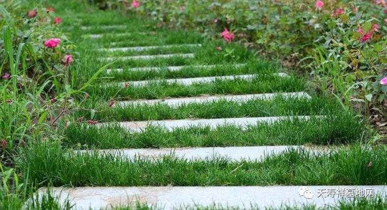 清明节的由来和风俗简介100字,清明节插柳枝的由来