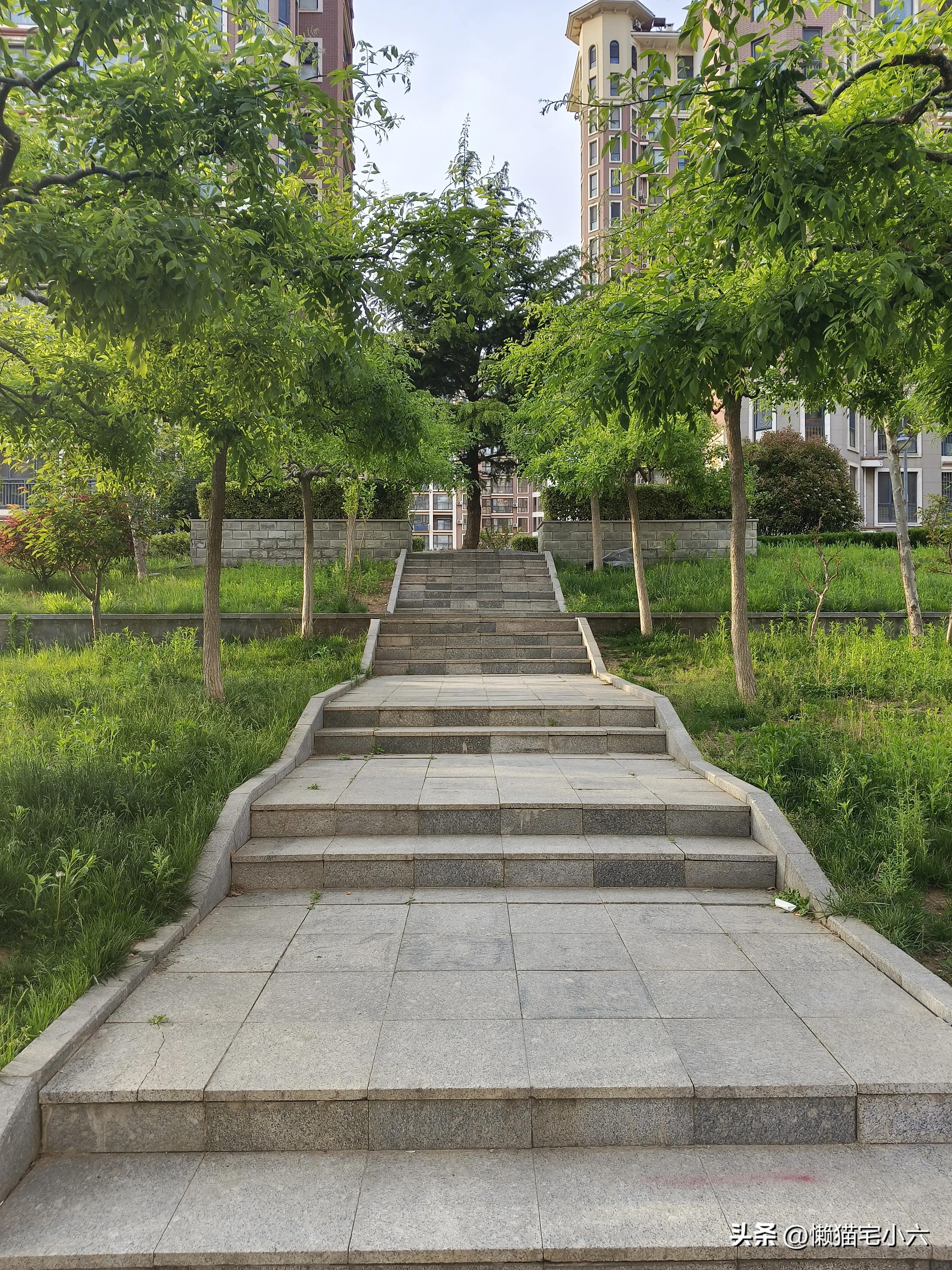 吾欲将心寄明月,吾欲将心寄明月是什么意思