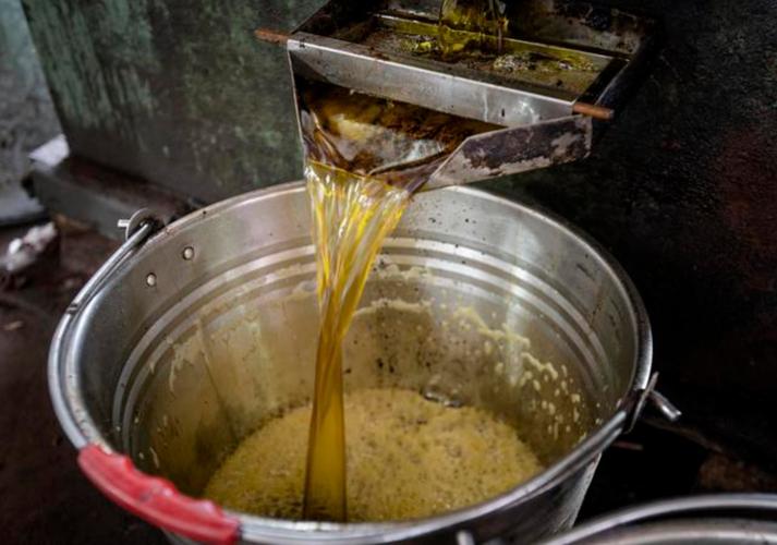 转基因大豆油少吃没事吧,菜籽油大豆油为什么要少吃