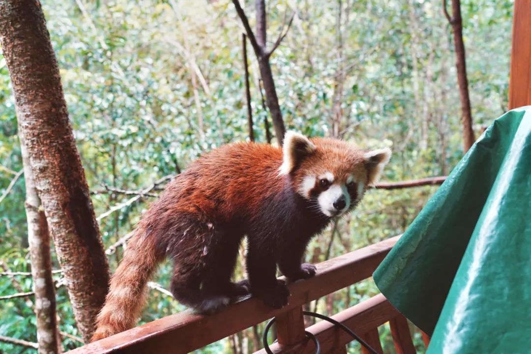 2023年初自驾游线路计划盘点,2023自驾游总结路线