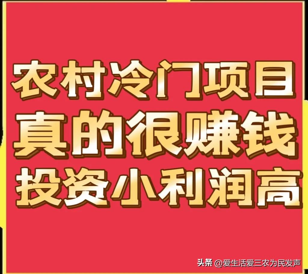 农村适合穷人的18个创业项目赚钱,农村冷门生意赚钱项目
