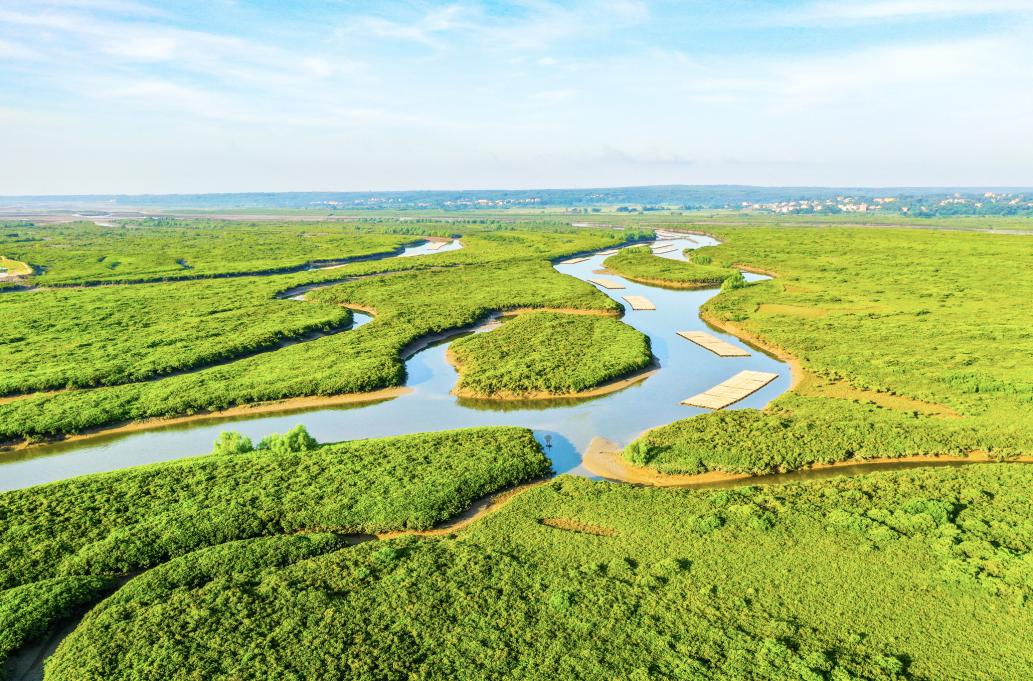 为什么会爱上广东,为什么会爱上英文歌