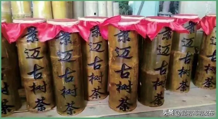 花博会云南,花博会来了