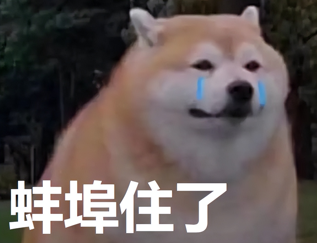 44岁刘涛变得越来越年轻了,43岁刘涛容颜耐看