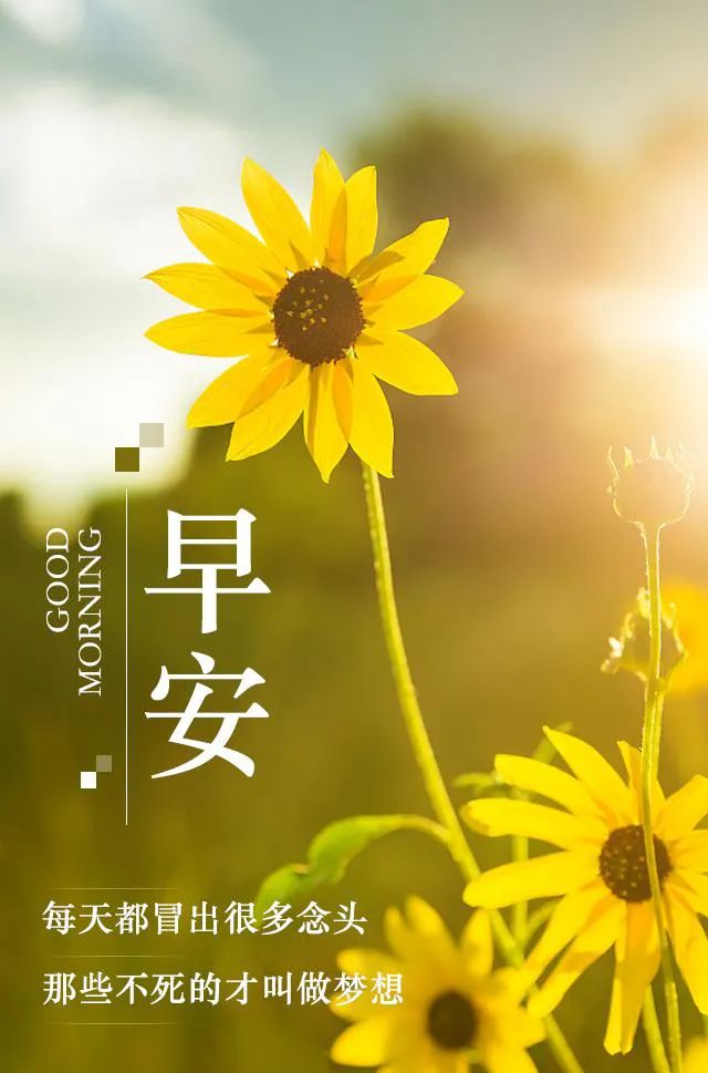 「2022.11.03」早安心语，正能量经典哲理语录句子很赞的问候图片