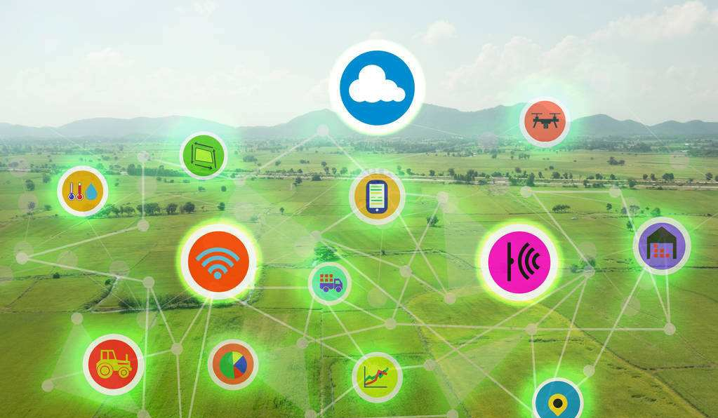 快播的再一次上热搜,却是最后一次