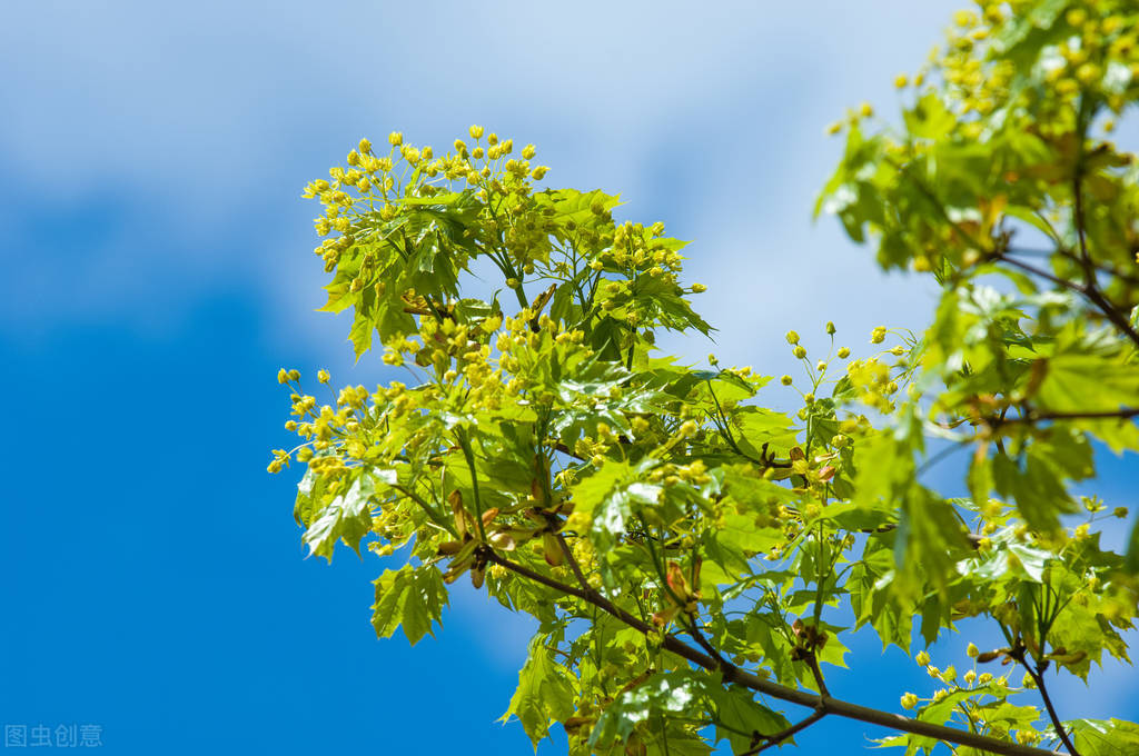 改变气质女人的6个好习惯,培养气质的100个好习惯