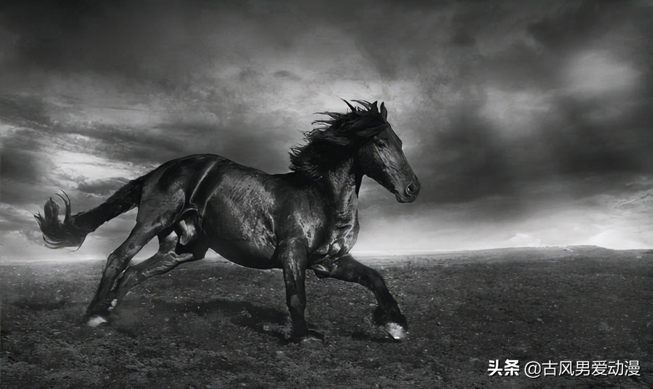 游戏王十二星卡片及效果,游戏王6卡片排行榜