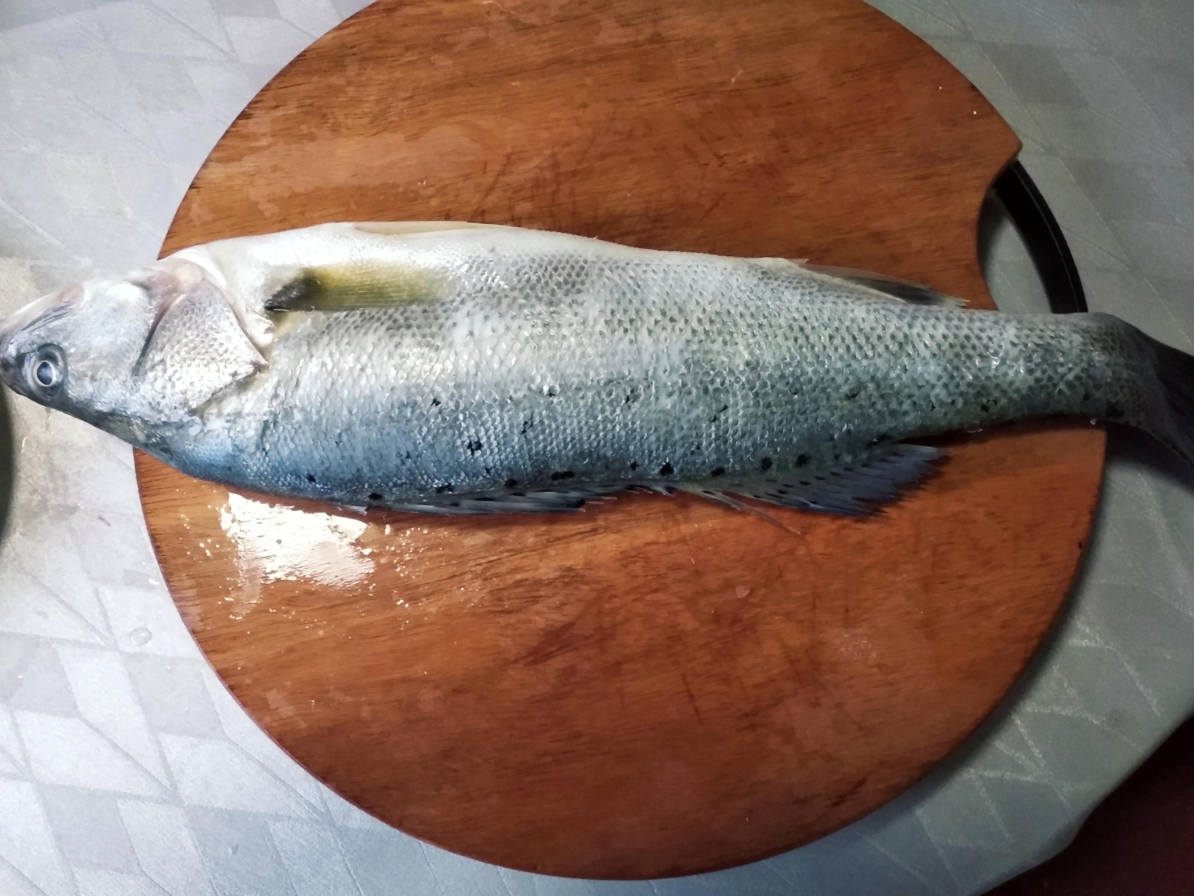 30种最常吃的海鱼图片大全,比较常见可以吃的海鱼