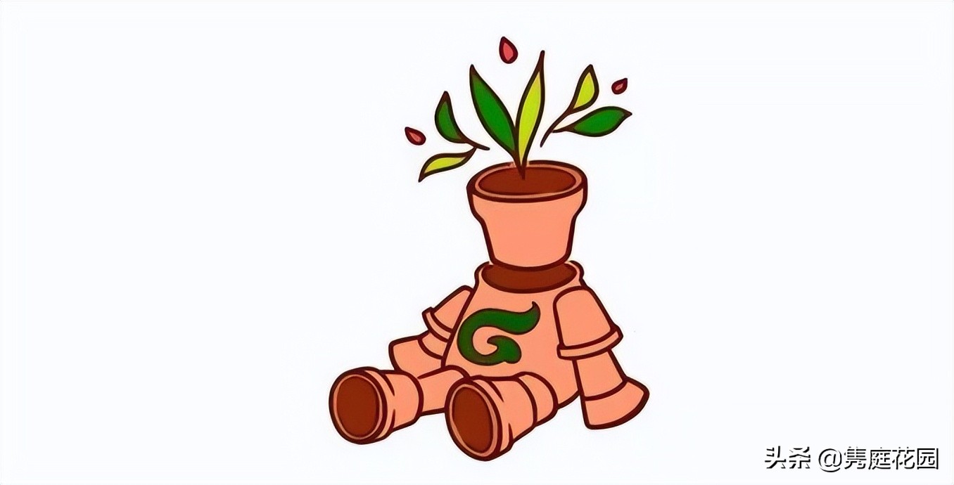 院子的生活才美好,一个装满生活气息的院子