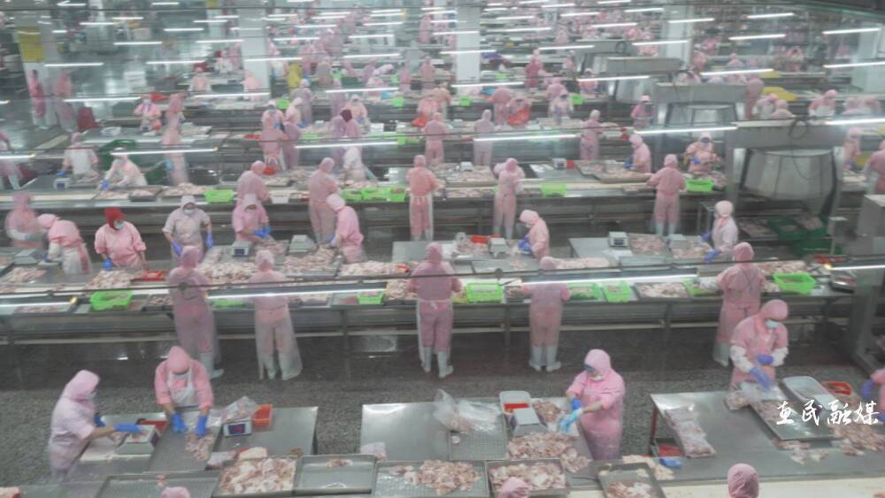 山东和美集团融资,山东和美牧业有限公司