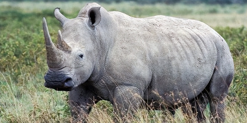 买饰品后被判刑,昆明一女子购买吊坠被判十年