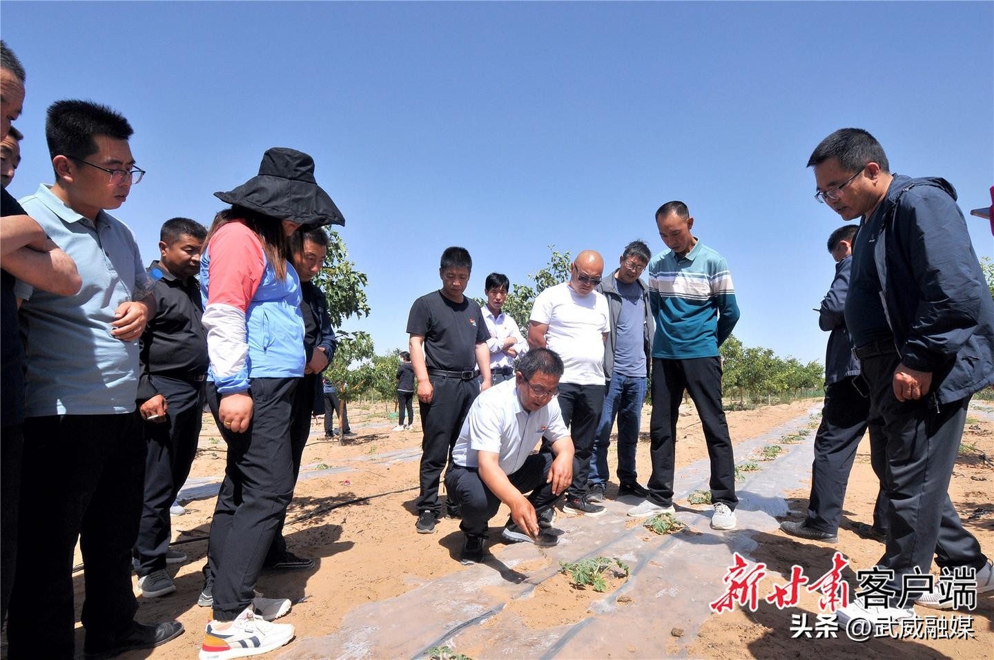 纵深推进村干部“学历提升工程”,武威市抓学习促提升方案