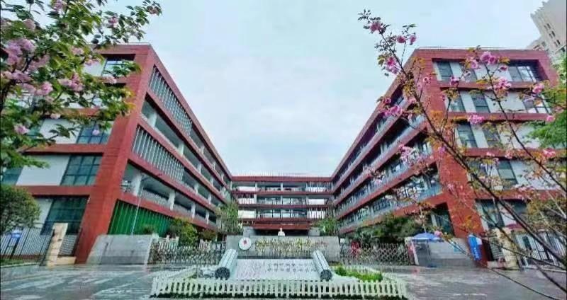 名校是怎么成为名校的,名校是怎样形成的