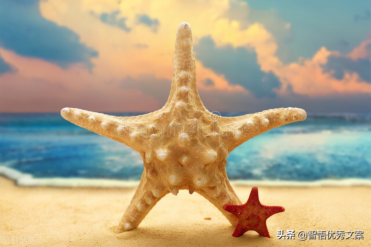 回首往事不因碌碌无为而羞愧,再回首往事不会因虚度光阴而悔恨