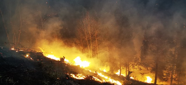 来说一说几个清明节习俗的由来吧,清明节的来历和风俗简介