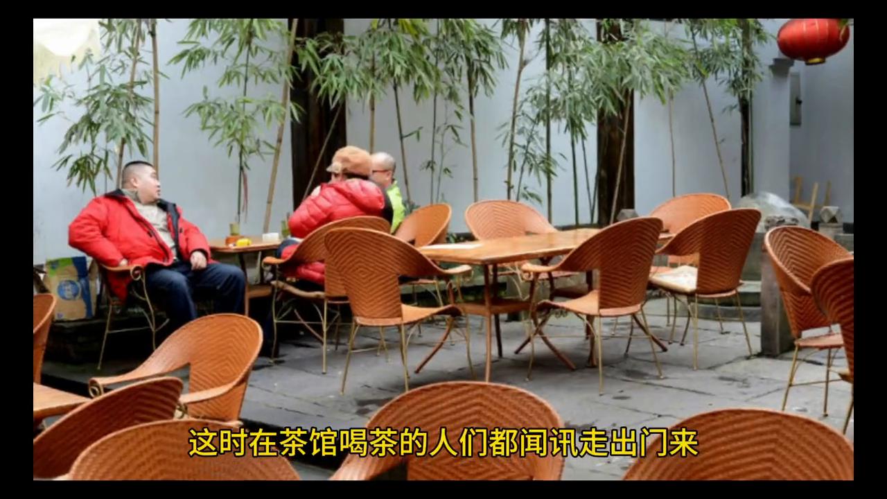 董行成捉贼的依据,董行成捉贼文言文翻译