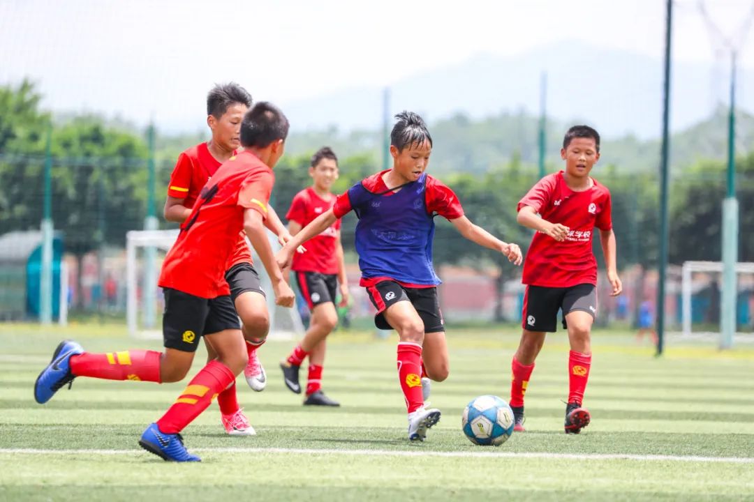 近几年恒大足校的成绩,恒大足校一年花费