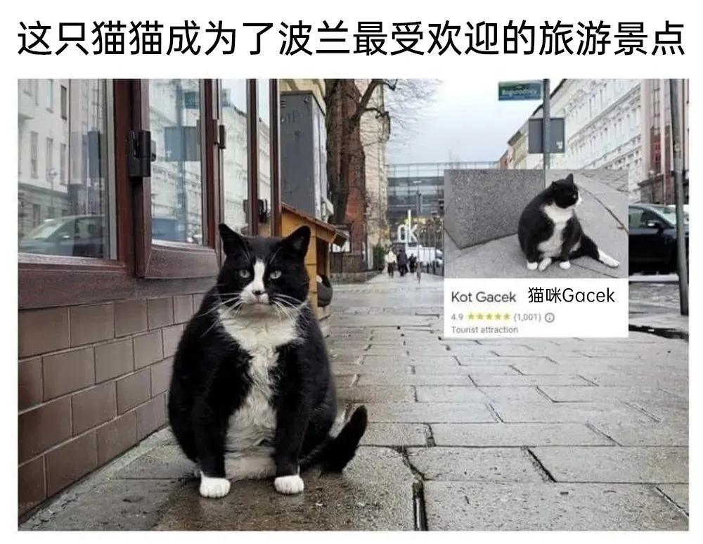 lifeme搞笑图片,月初月末搞笑图片