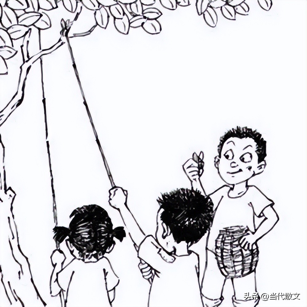 乡村散文生产队杀猪,乡村散文生产队的往事