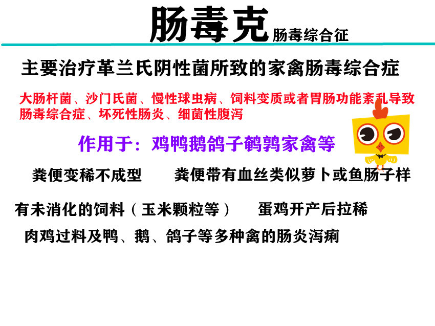 鸡肠毒综合症是什么原因造成,鸡肠毒综合征怎么处理