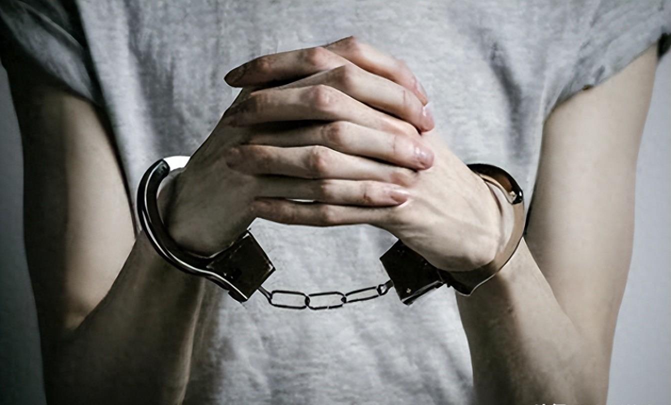 熊猫40年血泪史,大熊猫之殇