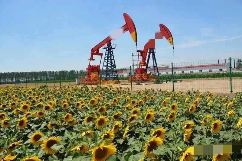 中石油安全文化理念,中石油形象标识