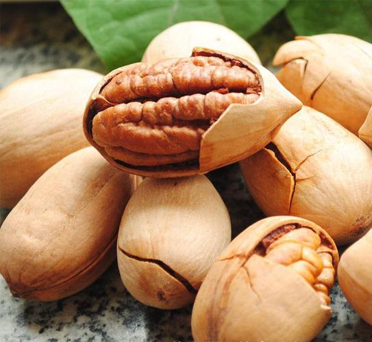 碧根果什么树的果实,开心果碧根果是什么树的果实