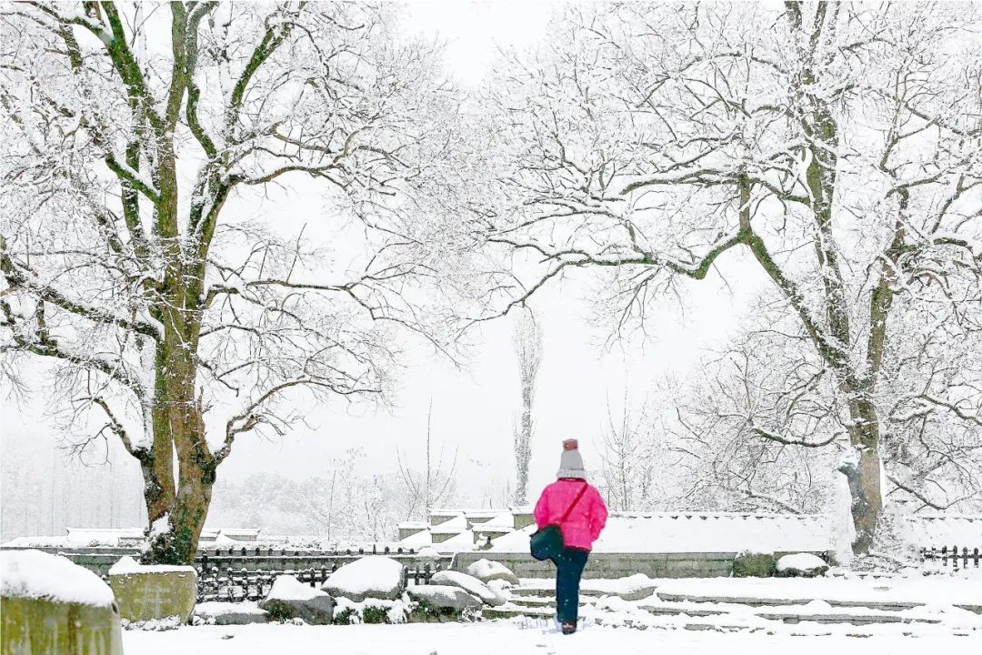 江天暮雪落尽琼花,江天暮雪落尽琼花什么意思