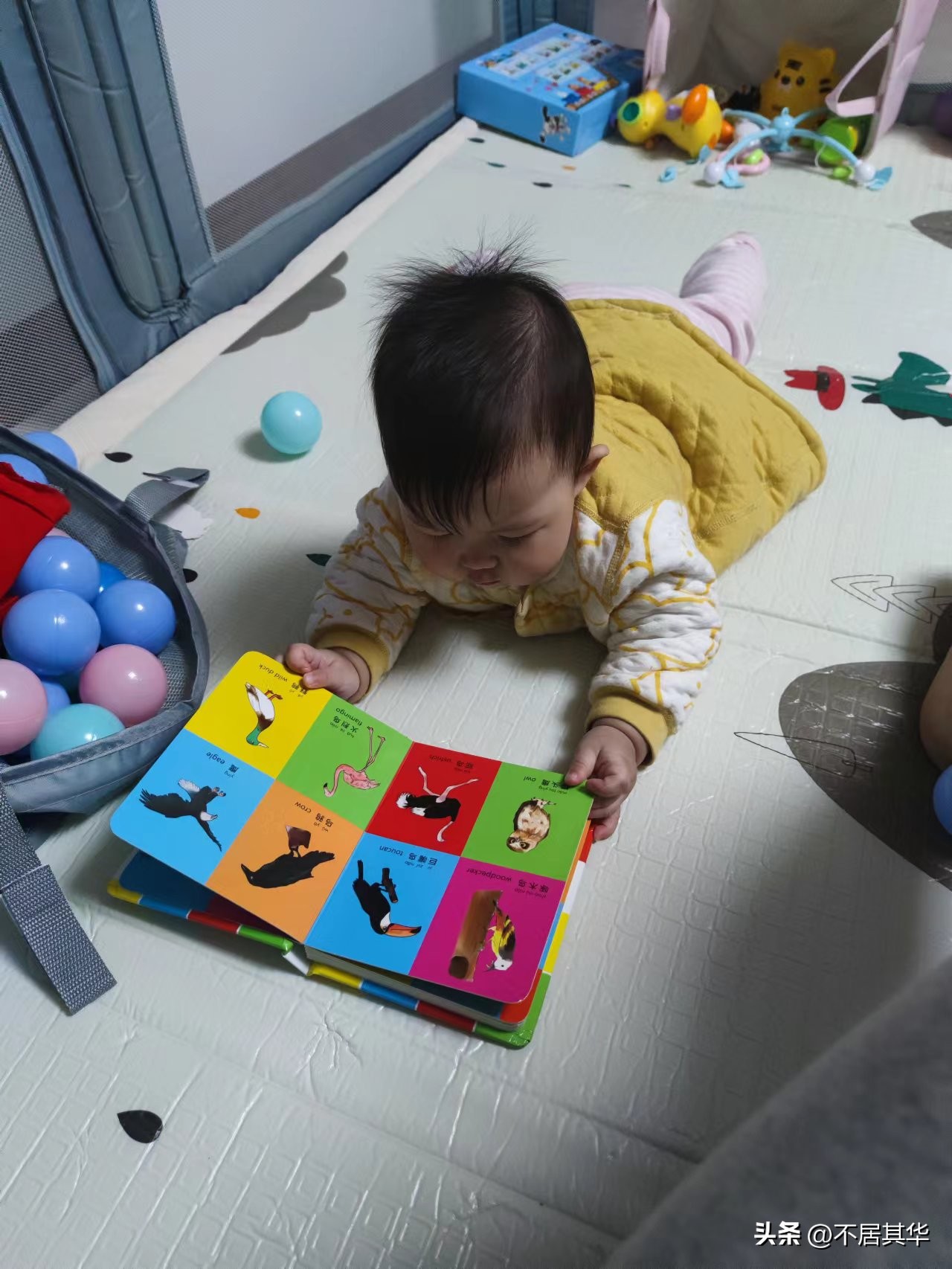 卡塔尔世界杯观想（二）