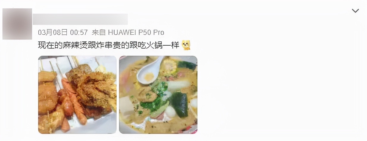 东北一碗麻辣烫能有多少利润,东北麻辣烫十五元钱