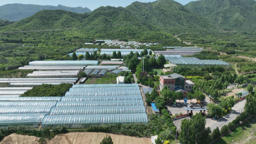 上寨村打造乡村振兴样板,鹿泉区南寨振兴农旅数字产业园