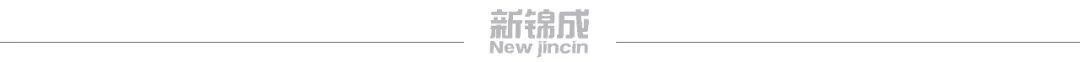 新锦成专家受邀解读“招生、人才培养及就业质量综合报告”