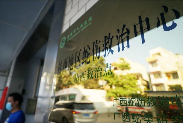 广西养蛇者被毒蛇咬死,广西养蛇第一人