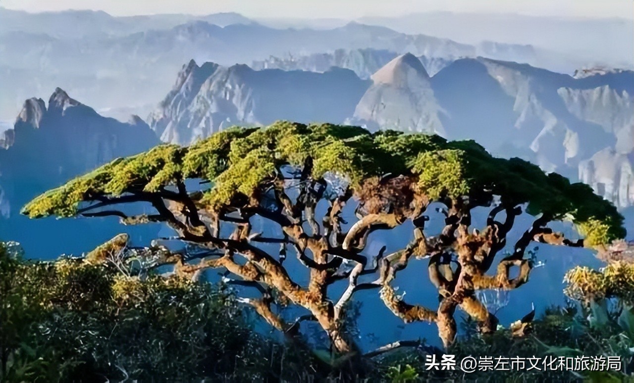 广西全区市级以上中小学生研学实践教育基（营）地名录