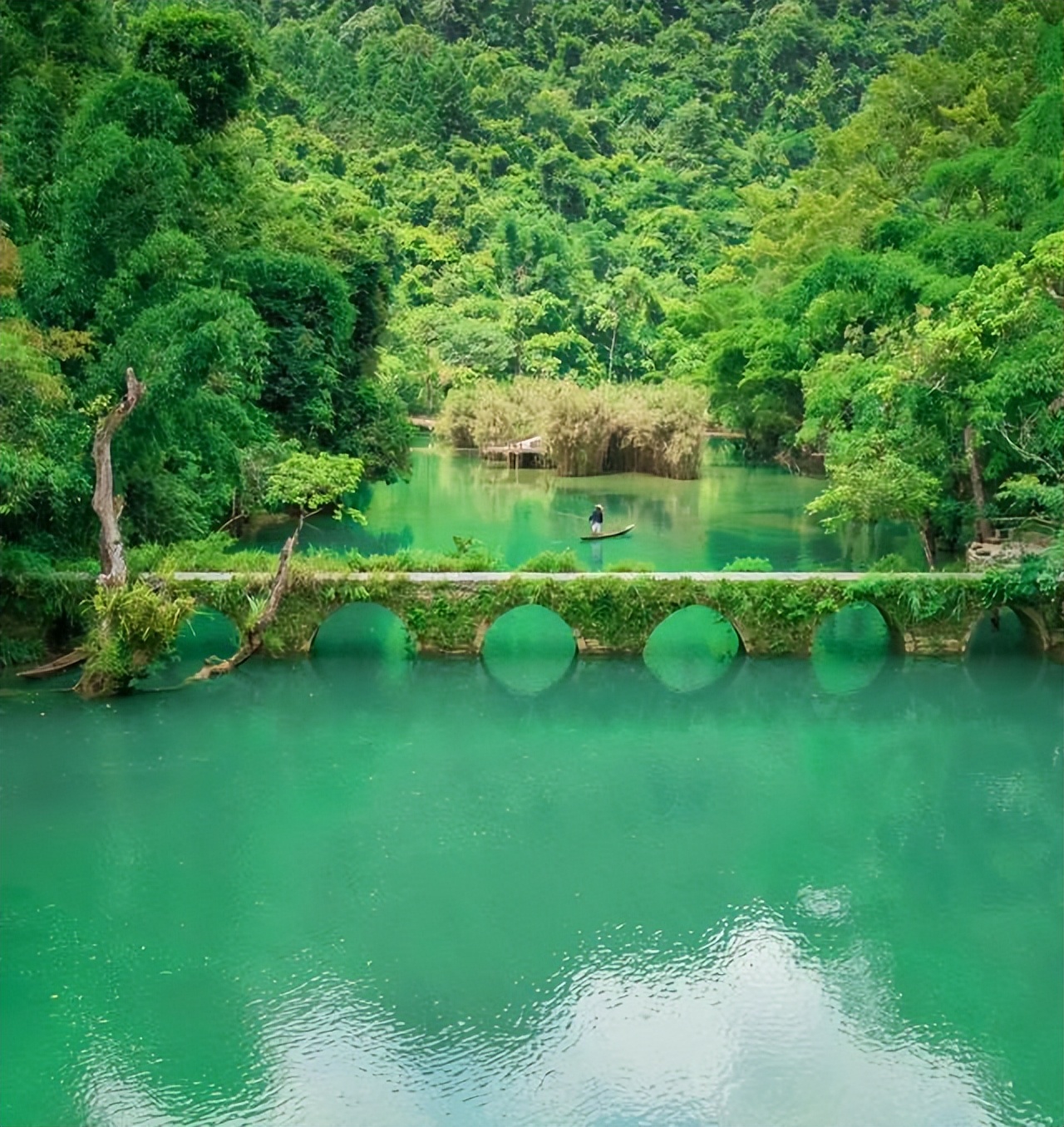 武汉去贵州跟团游怎么玩便宜省钱,贵州游玩详细攻略图片