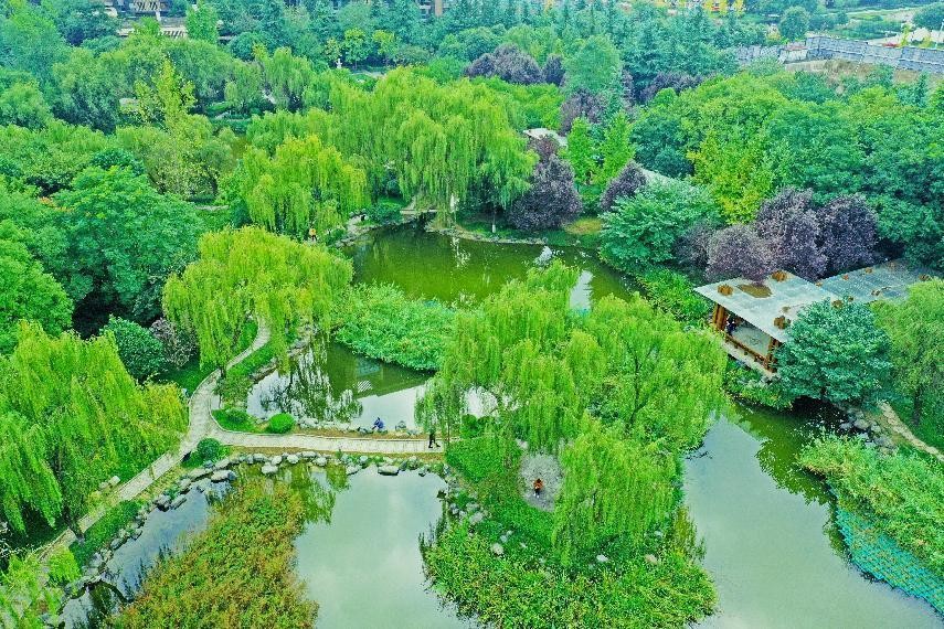 西安高新区公园,西安高新区艺术区