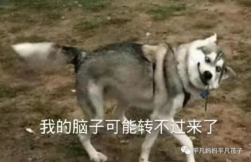 妈妈如何快速提高孩子的作文水平,想提高孩子作文水平看什么书