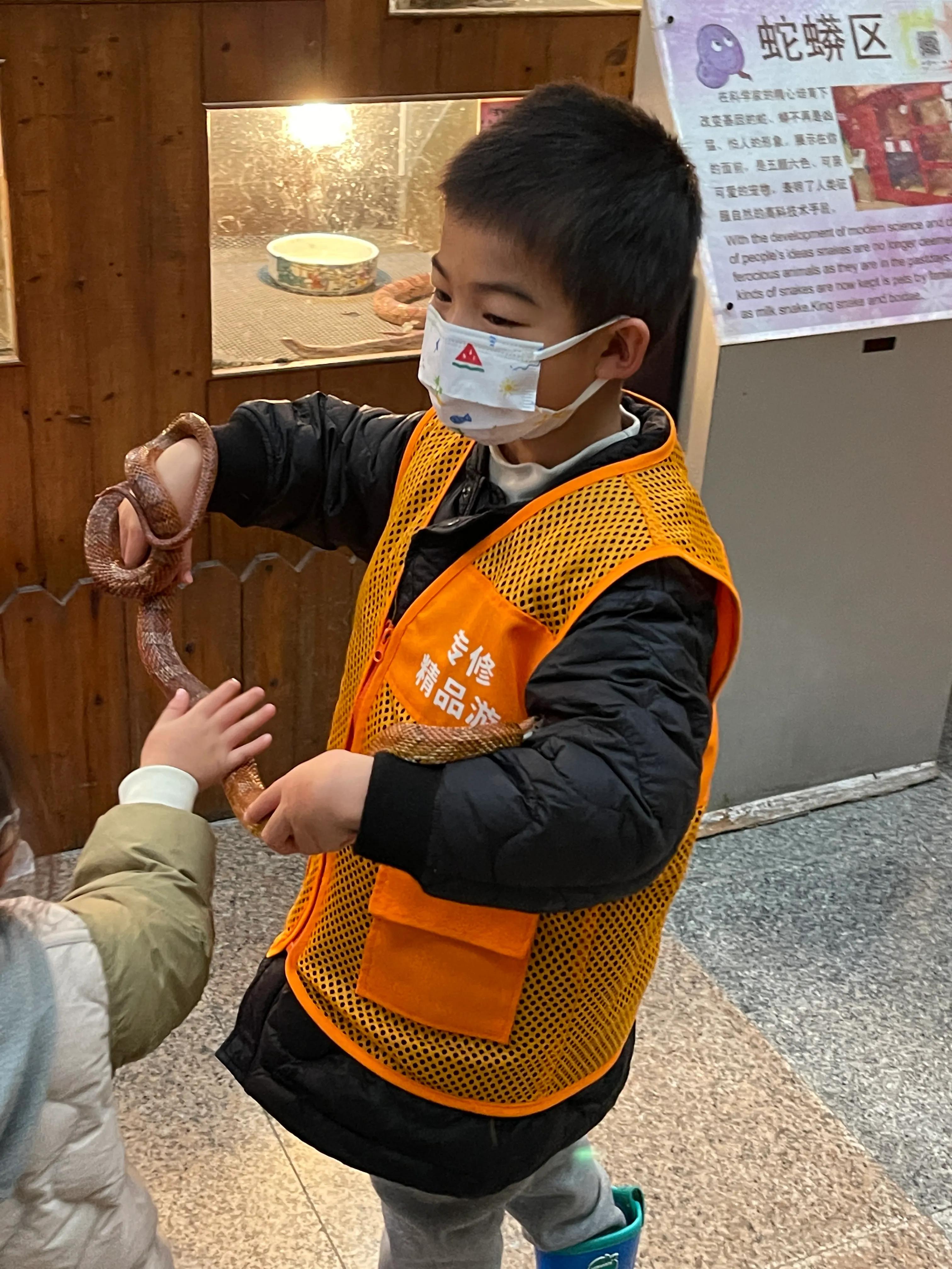 上海大自然野生昆虫博物馆,上海野生昆虫馆门票