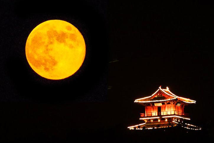 中秋共赏圆月的诗句,古今中外中秋咏月的古诗词有哪些