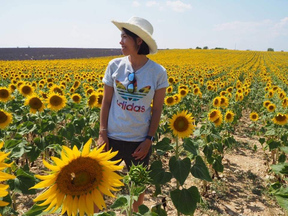 陈婉婷亚冠成绩,陈婉婷足球视频