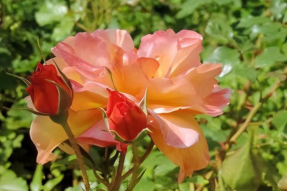 与人交往中如何识人,如何知道对方是否值得深交