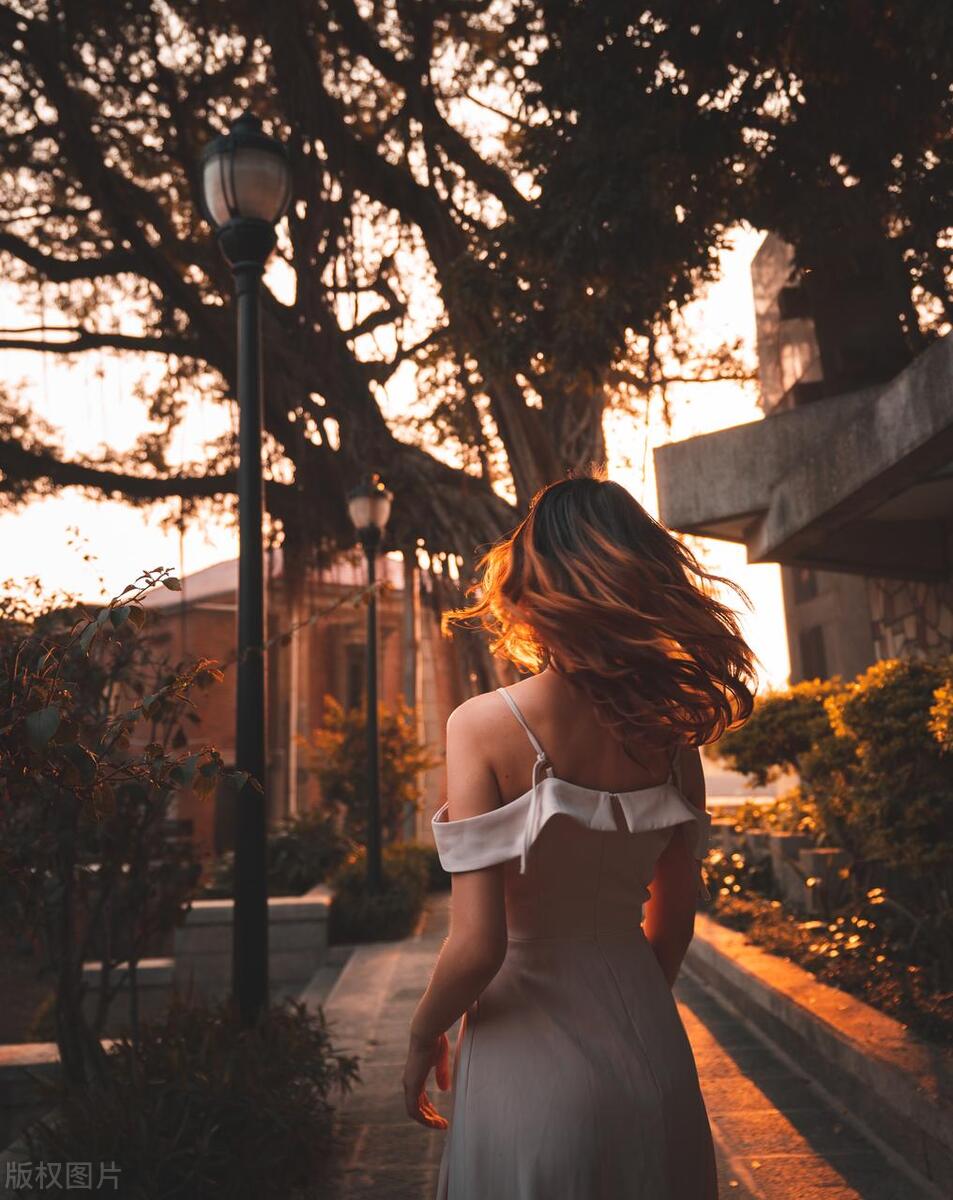 欧洲各国对男性的审美,欧洲国家有什么特色文化现象